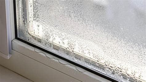 who to call for leaking window|Leaking window